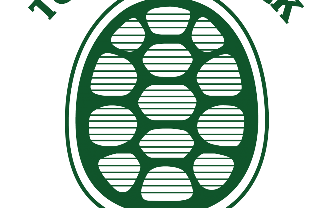 Turtle’s Back Publishing, a division of the Ontario Native Literacy Coalition